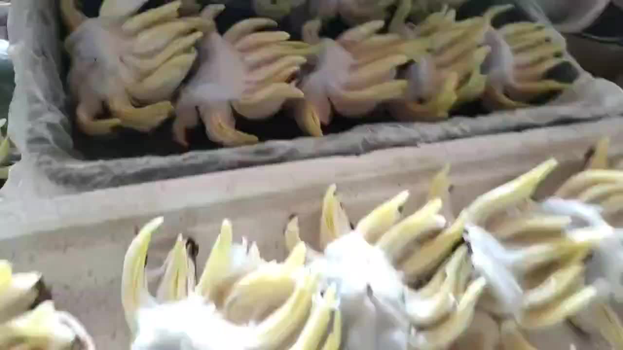 【雕刻水仙】漳州水仙花种球已雕刻冬季桌面盆栽水培花卉通货