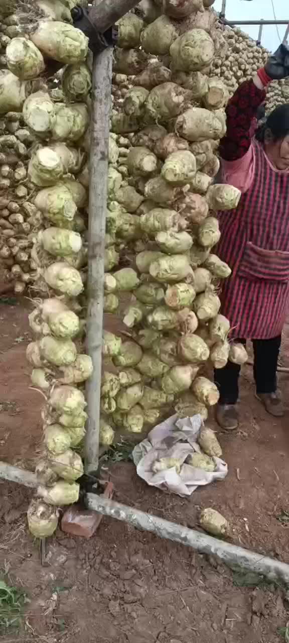 龙须大头菜，四川内江特产