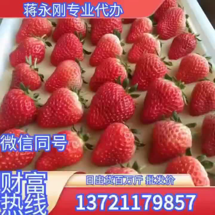 蚌埠草莓代办代发