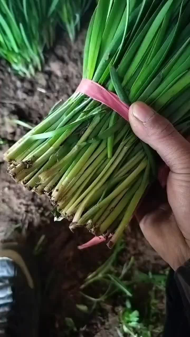 忙的没时间更新，想装货，我，关注我朋友圈