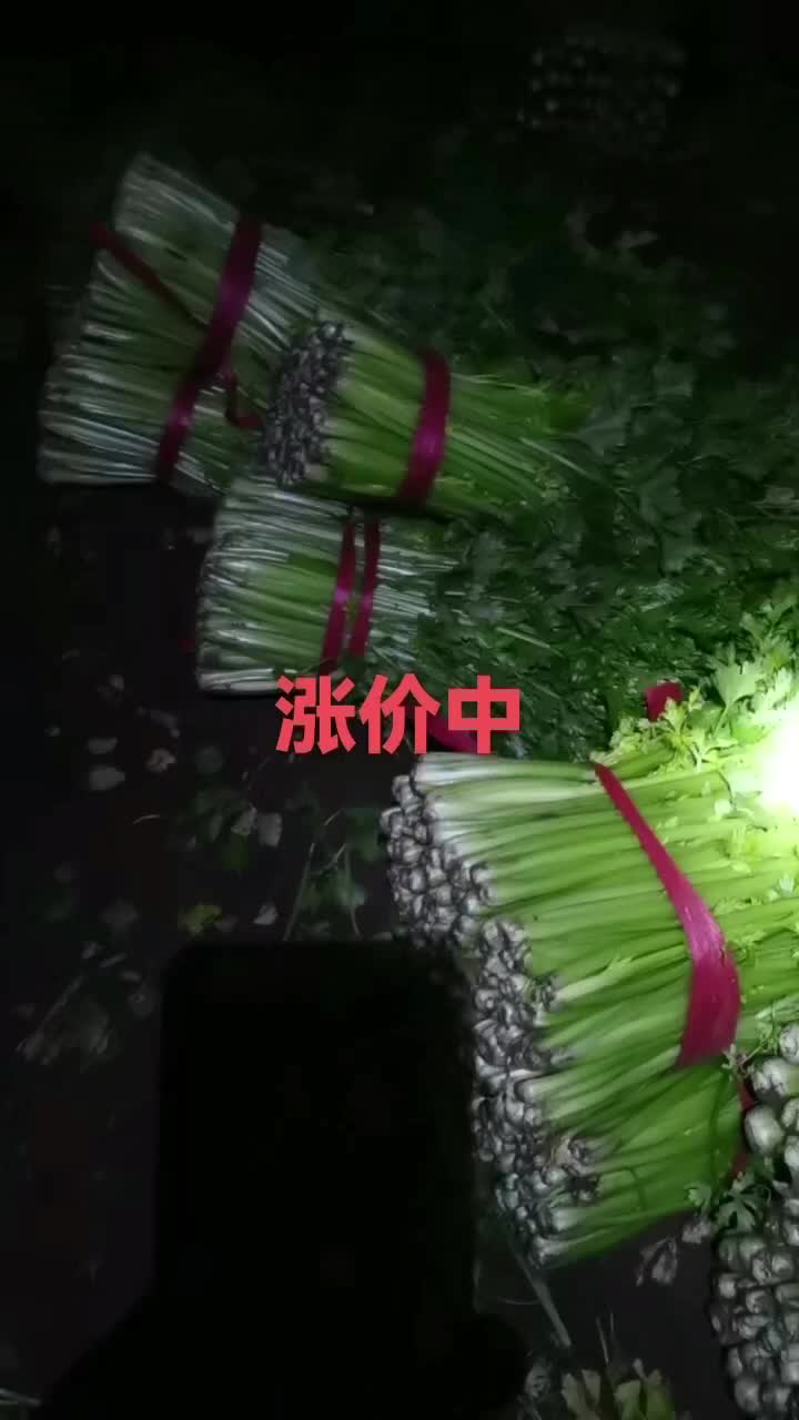 西芹