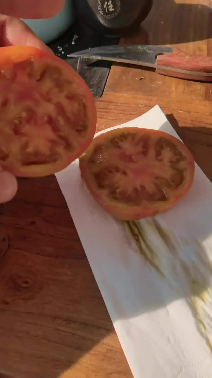 新疆草莓柿子
