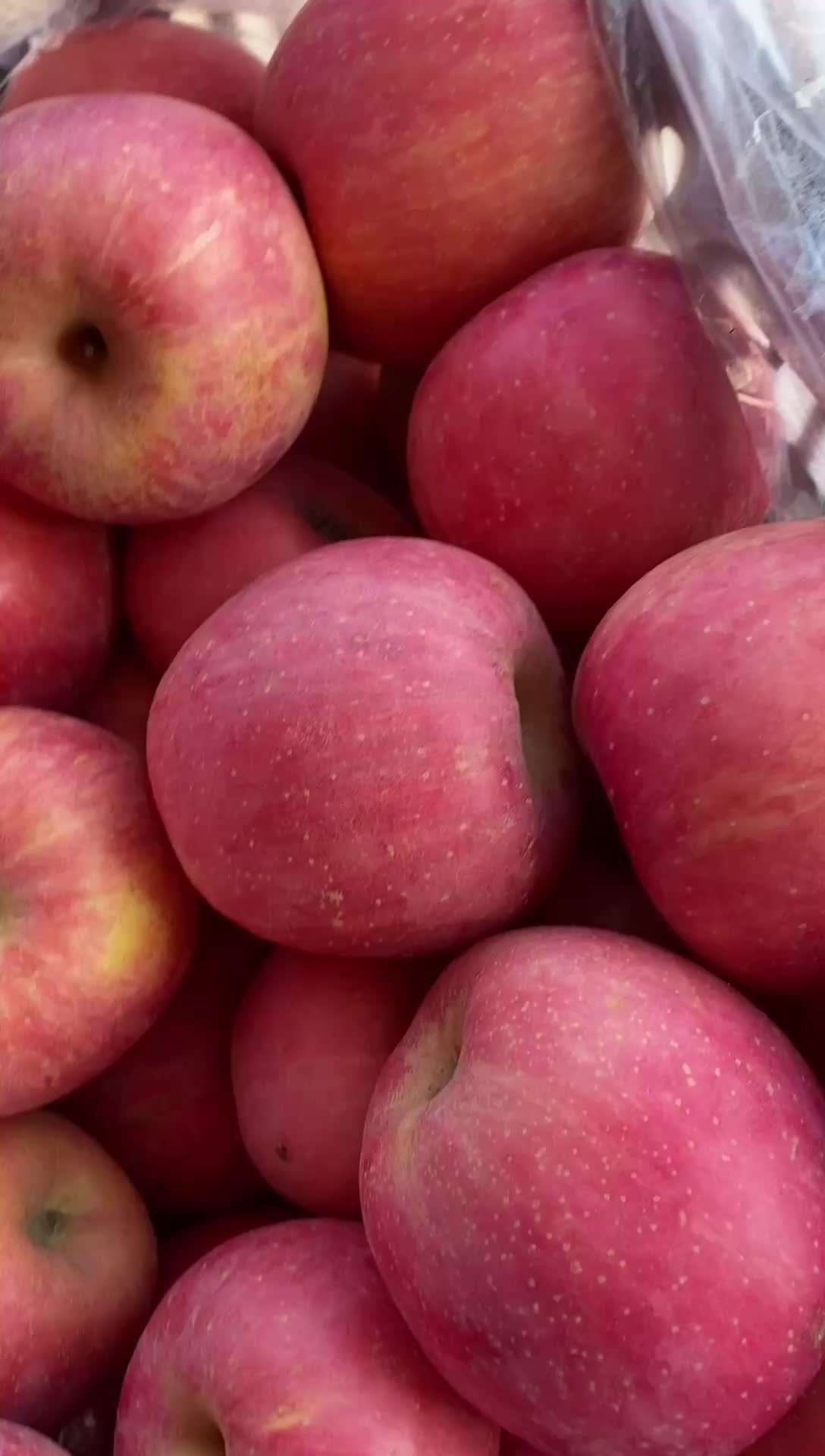 河北昌黎红富士苹果，70mm以上原产地大富士苹果半斤以上