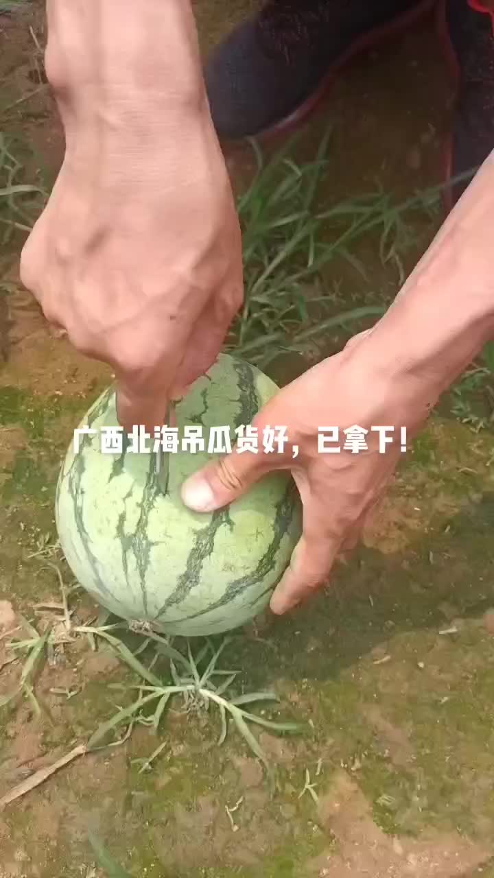 2k西瓜