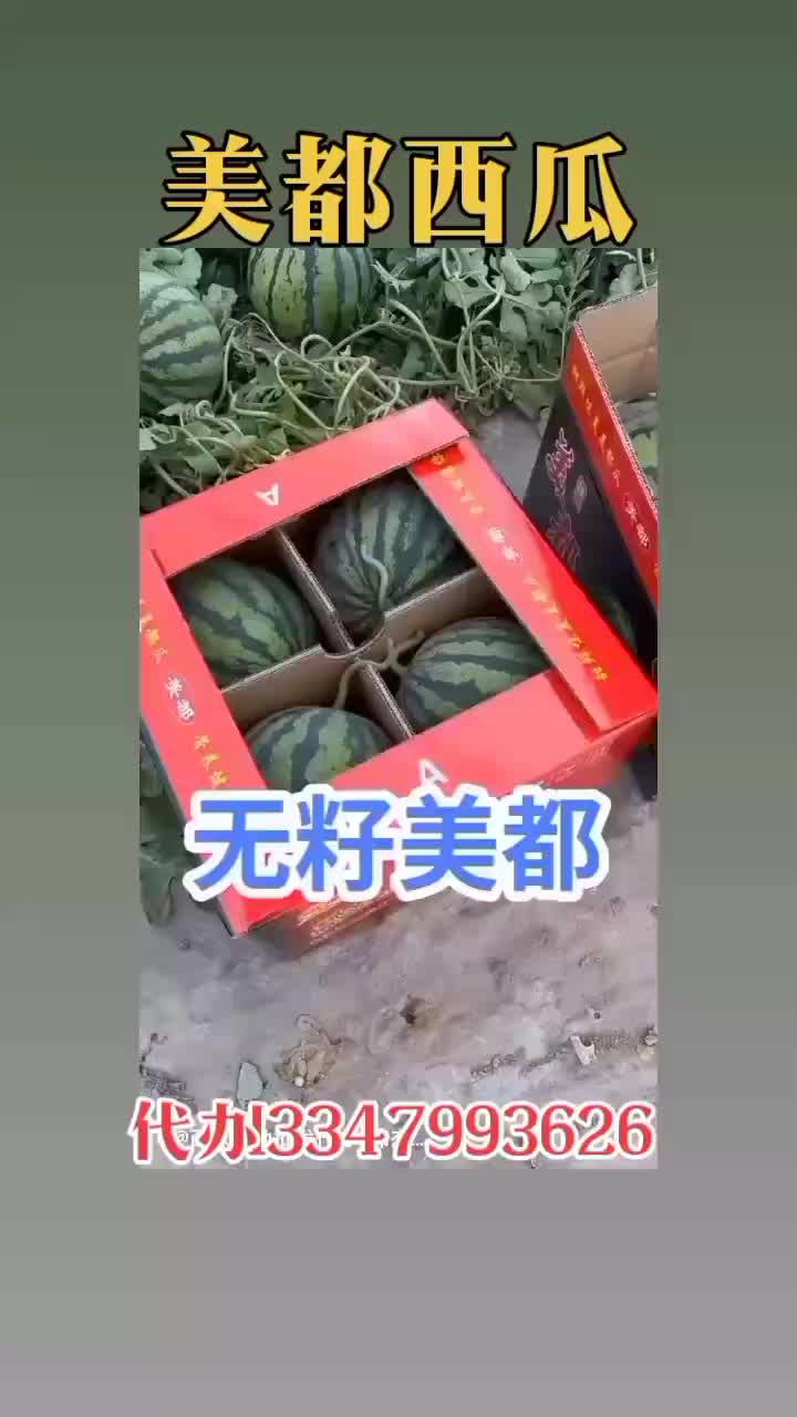 【推荐】精品美都西瓜，产地发货，大量上市，支持商超电商，欢迎