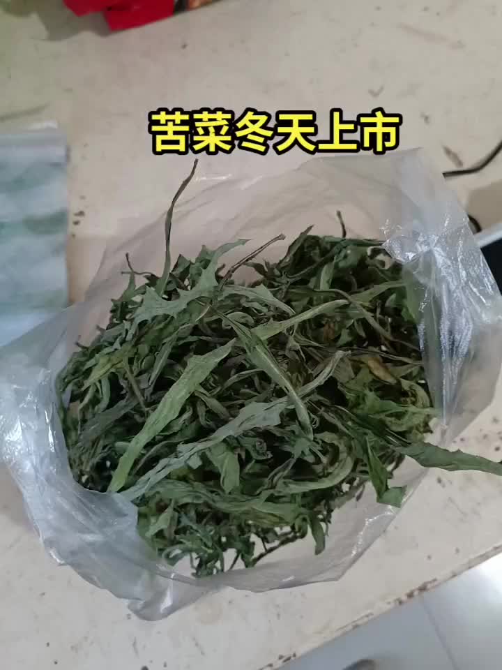 野生干苦菜