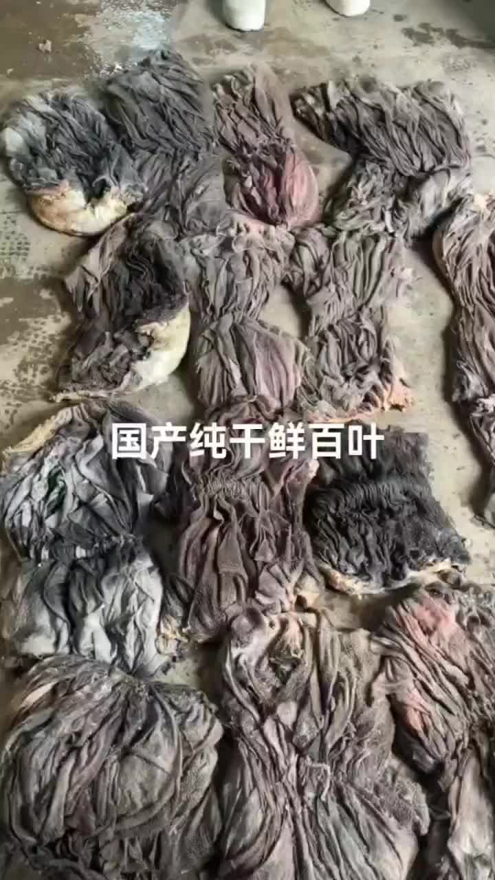 纯干国产牛百叶，每天都有货