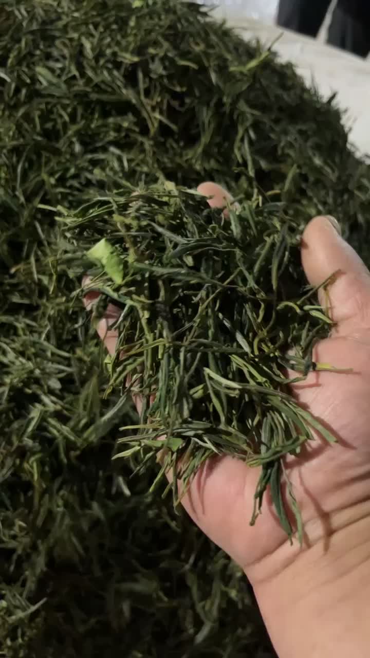 大别山高山毛峰茶绿茶云雾高山茶叶自产自销茶叶金寨茶叶