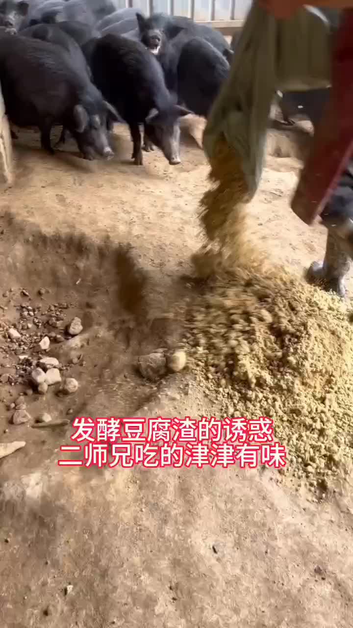 发酵豆腐渣，厂家直销，双层加厚带排气阀袋子