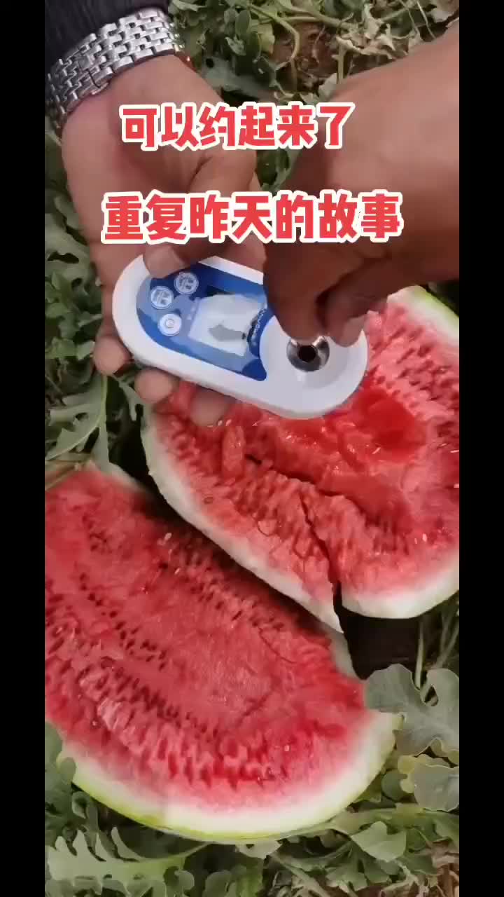 西瓜