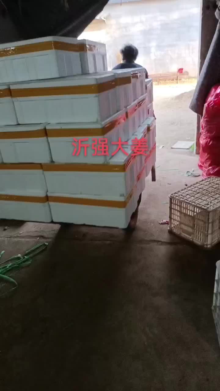 面姜常年供应山东沂水面姜泡沫箱小包货