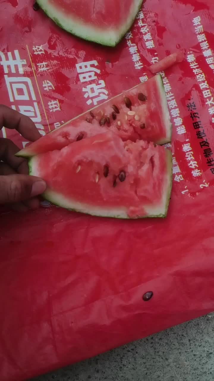 美都西瓜，精品甜王