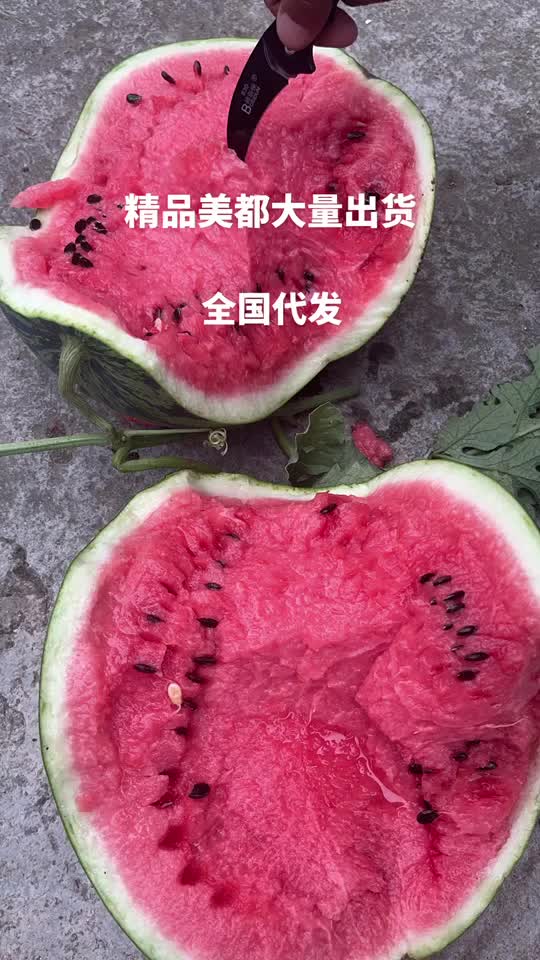 露天美都西瓜