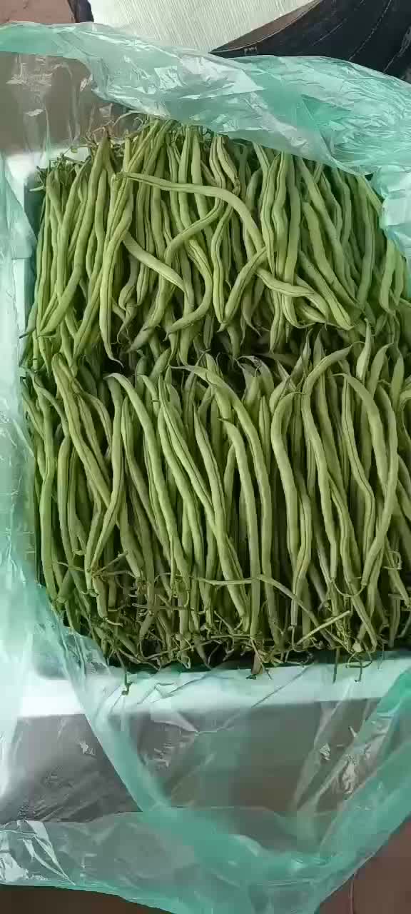 大青豆，无筋豆大量上市