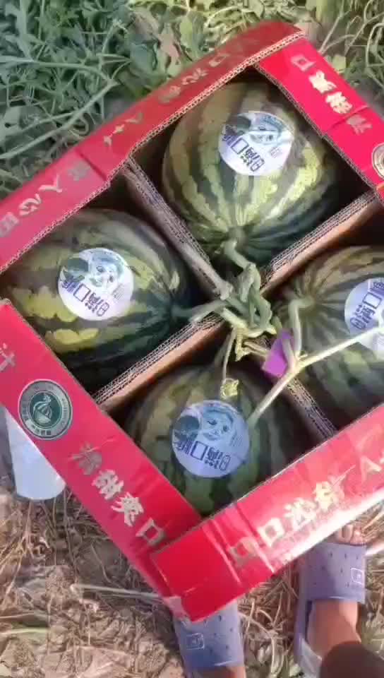 精品美都