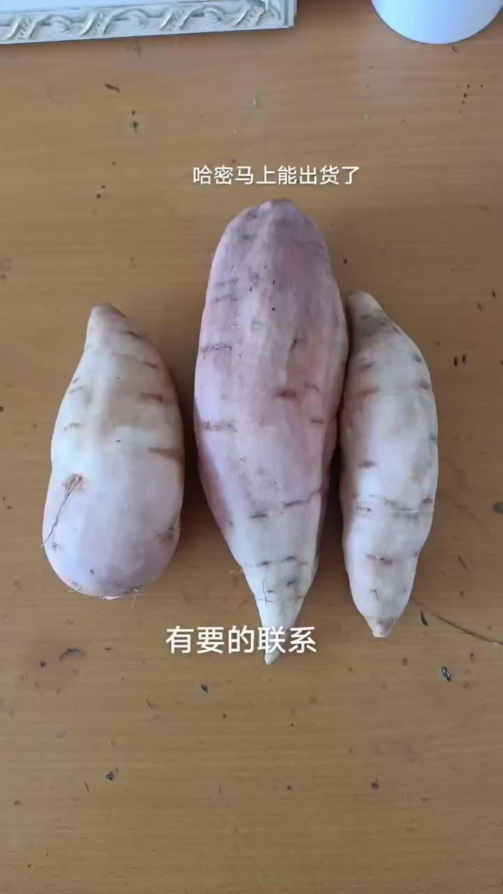 哈密红薯