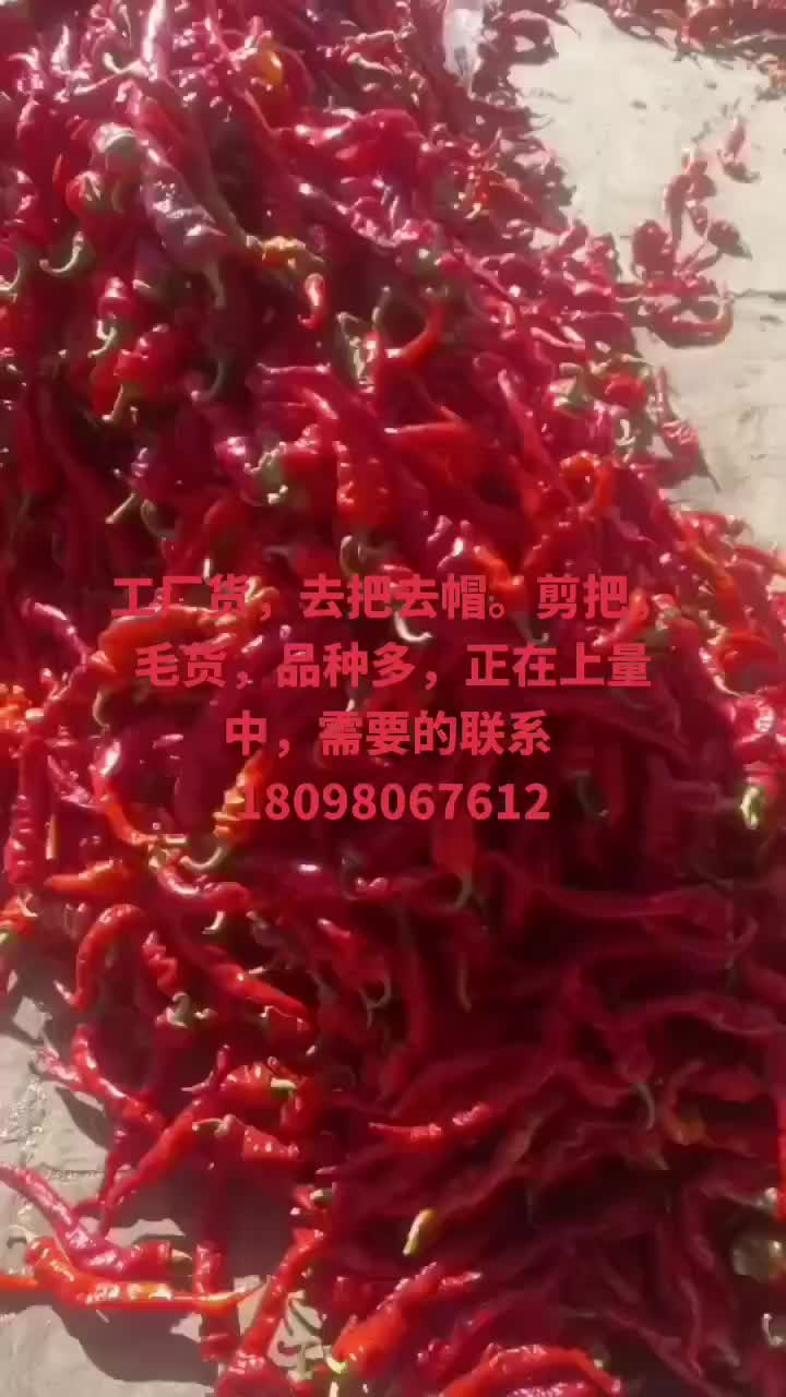 鲜辣椒红辣椒，工厂用，剁椒，打酱