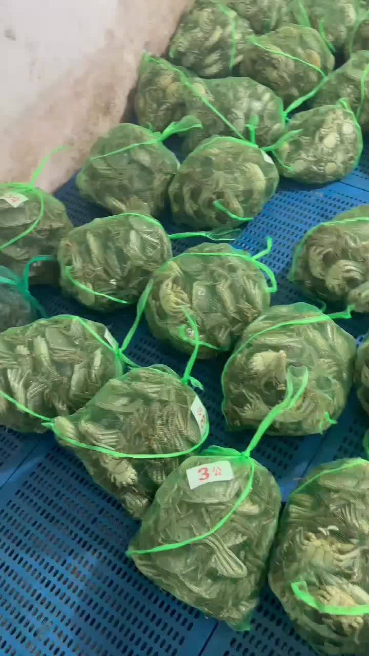 阳澄湖大闸蟹