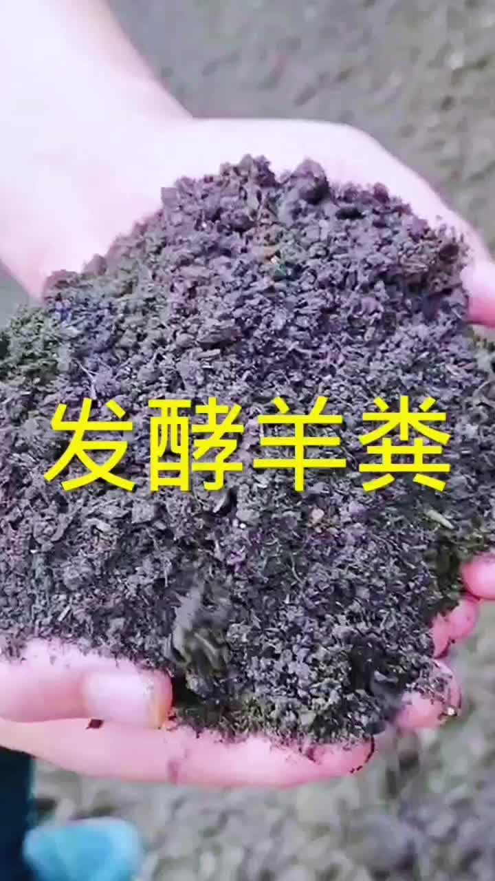 羊粪有机肥，量大可以，粉剂羊粪有机肥