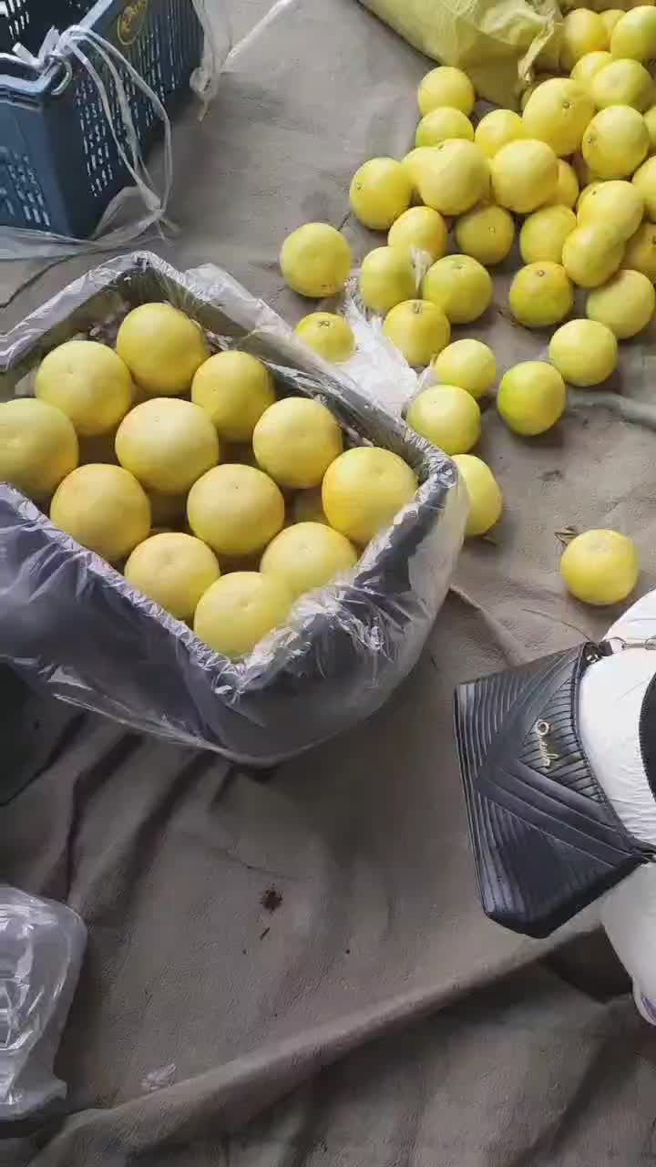 爆汁葡萄柚