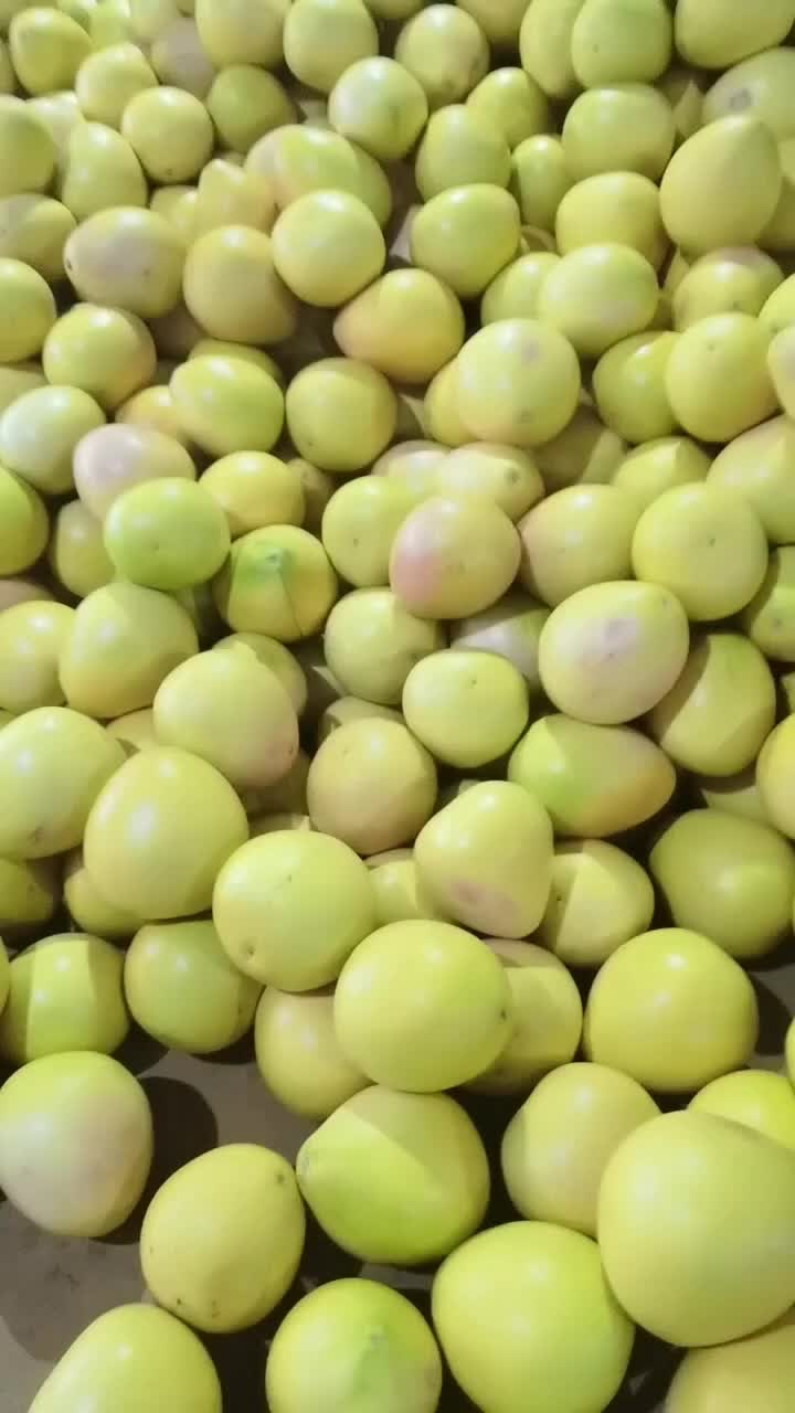 琯溪蜜柚