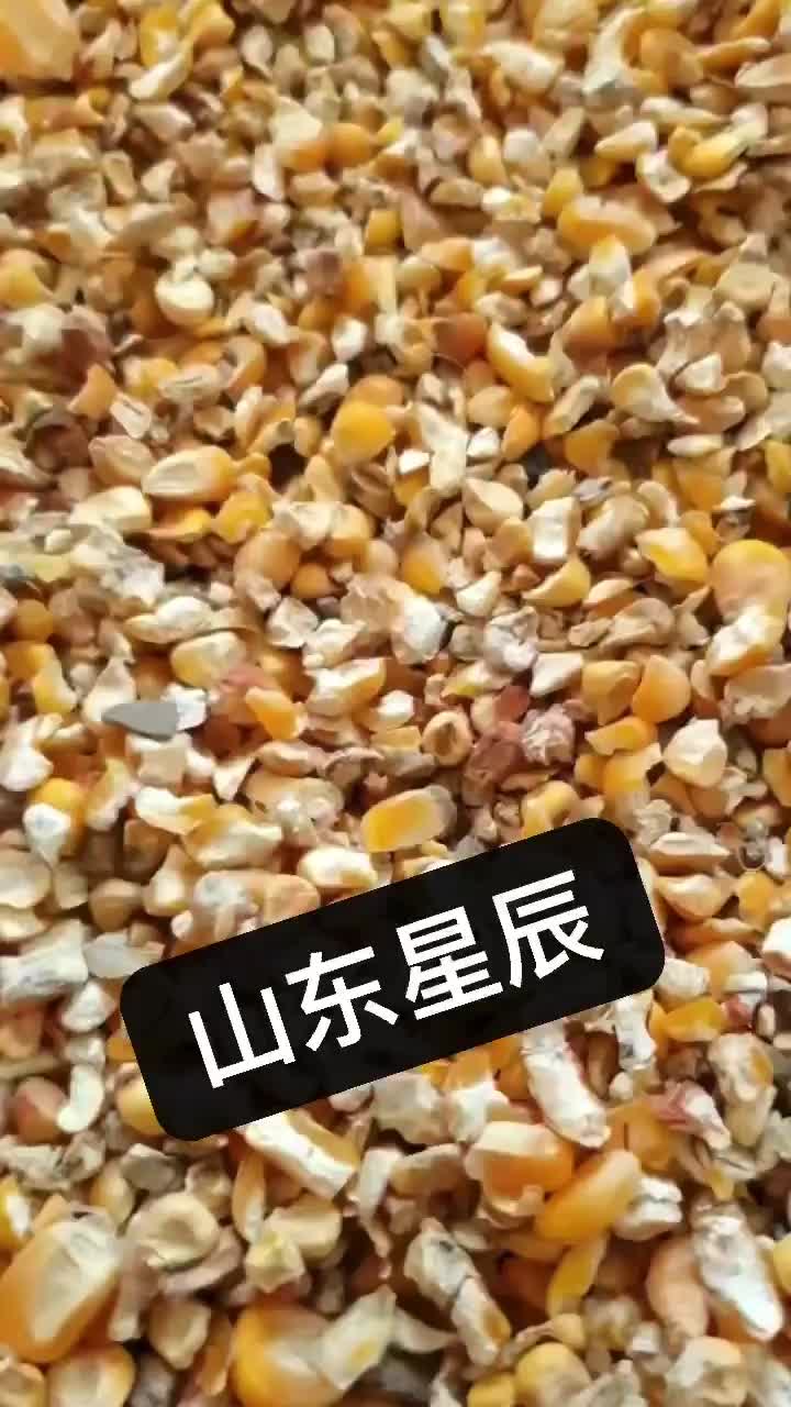 养殖专用碎玉米