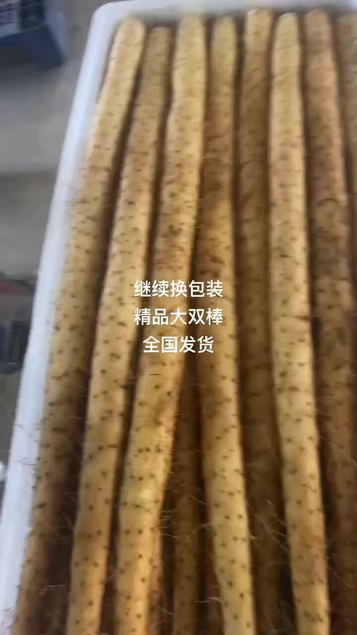 精品双棒大货