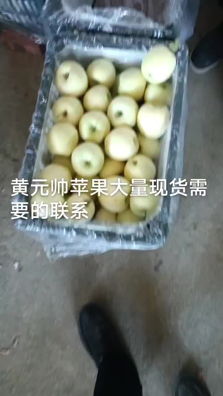 黄元帅苹果