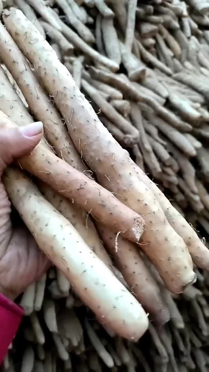 小白嘴铁棍山药，又面微甜，面，糯，越放越甜