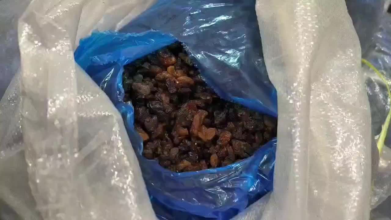 出收葡萄干挑拣料都是新货，大量供应每月60吨