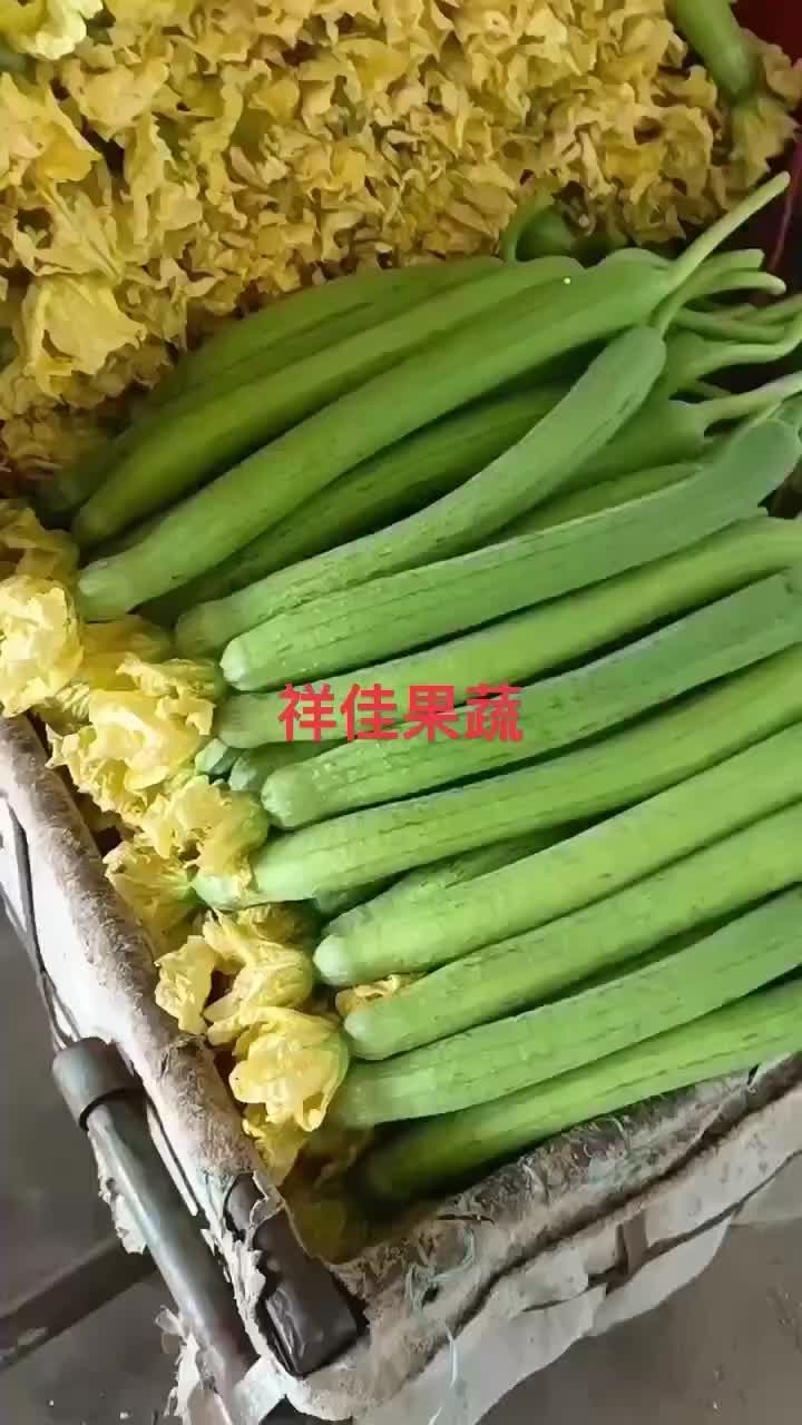 带鲜花丝瓜，精品货，电商货，产地直发