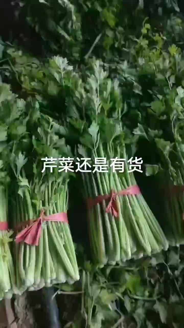 产地芹菜大量供货要的，老板可以联系，这边可以长期供货。