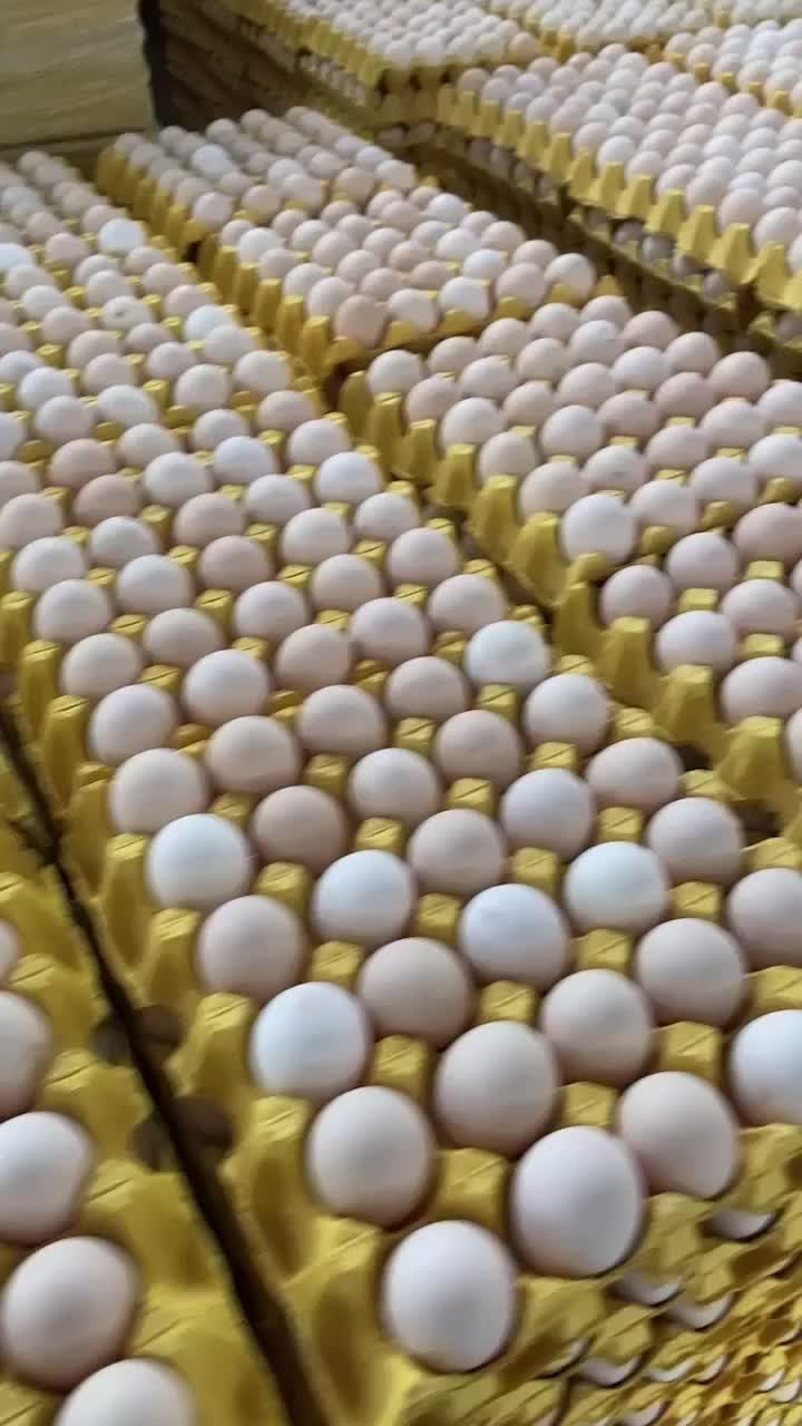 精品粉蛋
