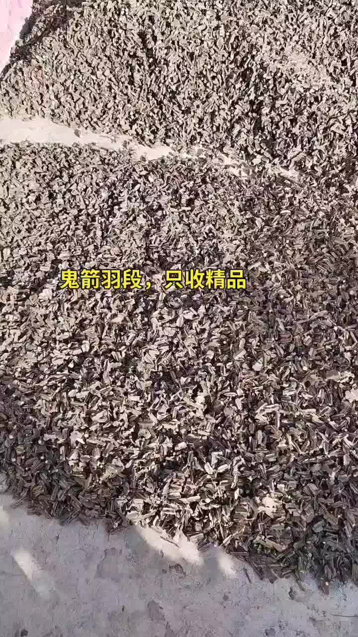 甘肃省陇南市西和县鬼箭羽