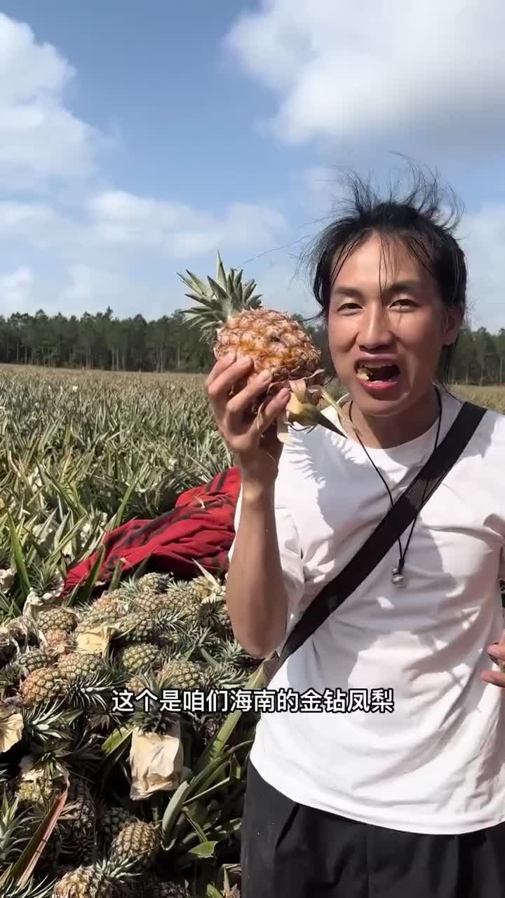 凤梨🍍