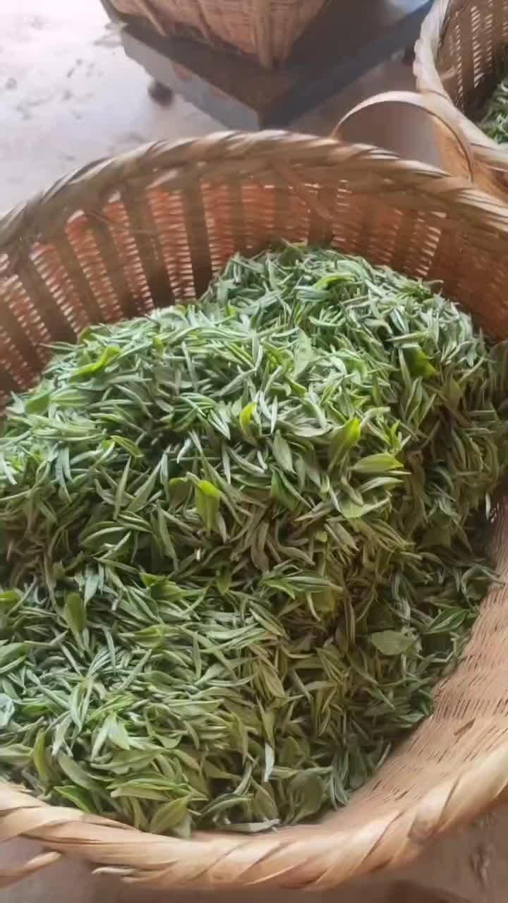 普洱台地茶，绿茶