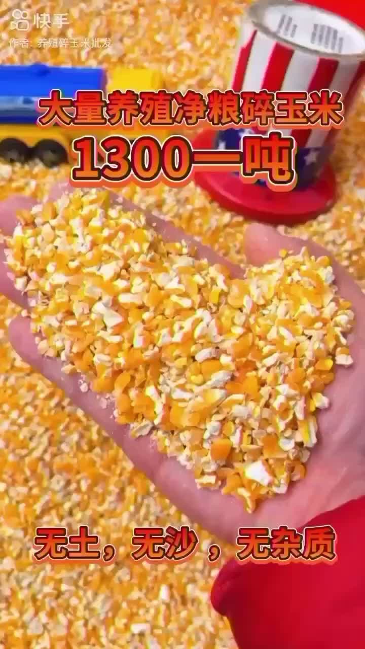 养殖碎玉米批