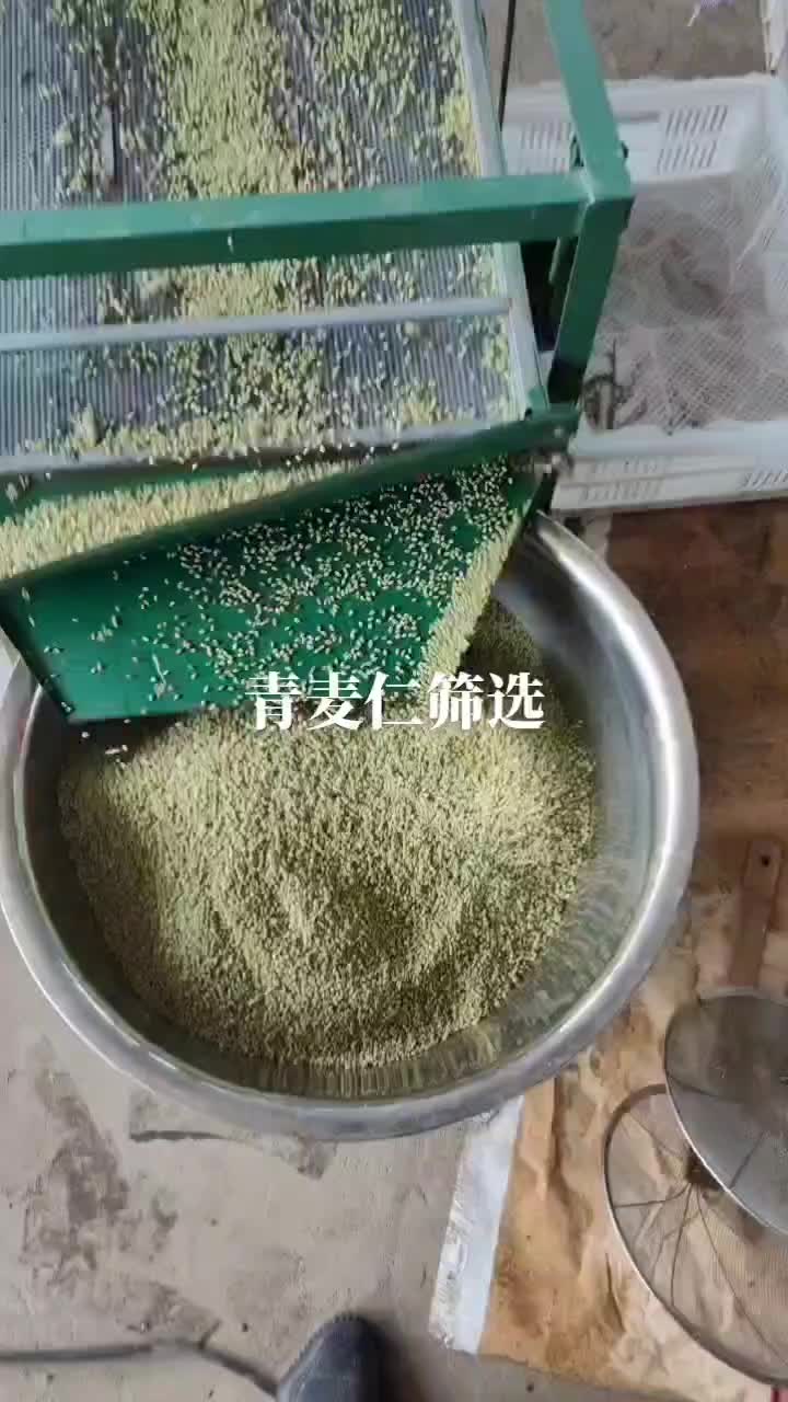 河南省西华县优质青麦仁