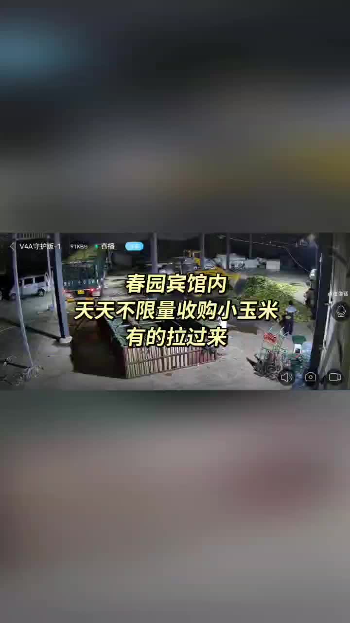 工厂小玉米，大量上货。