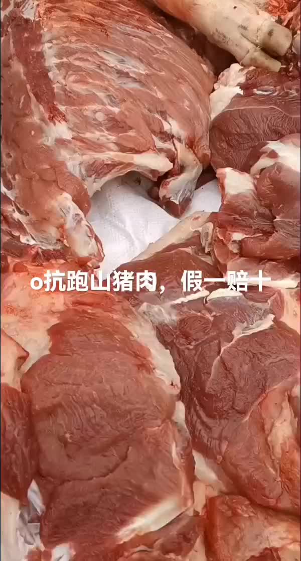 o抗跑山土猪肉，不含抗生素，养一年以上，假一赔十