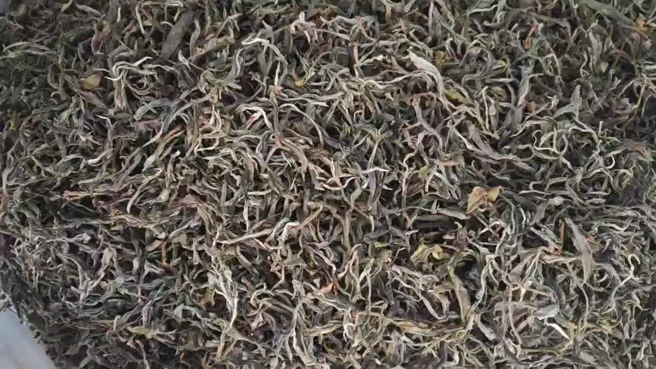 古树茶