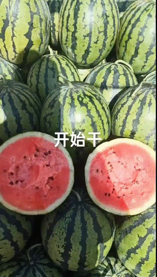 甜王西瓜