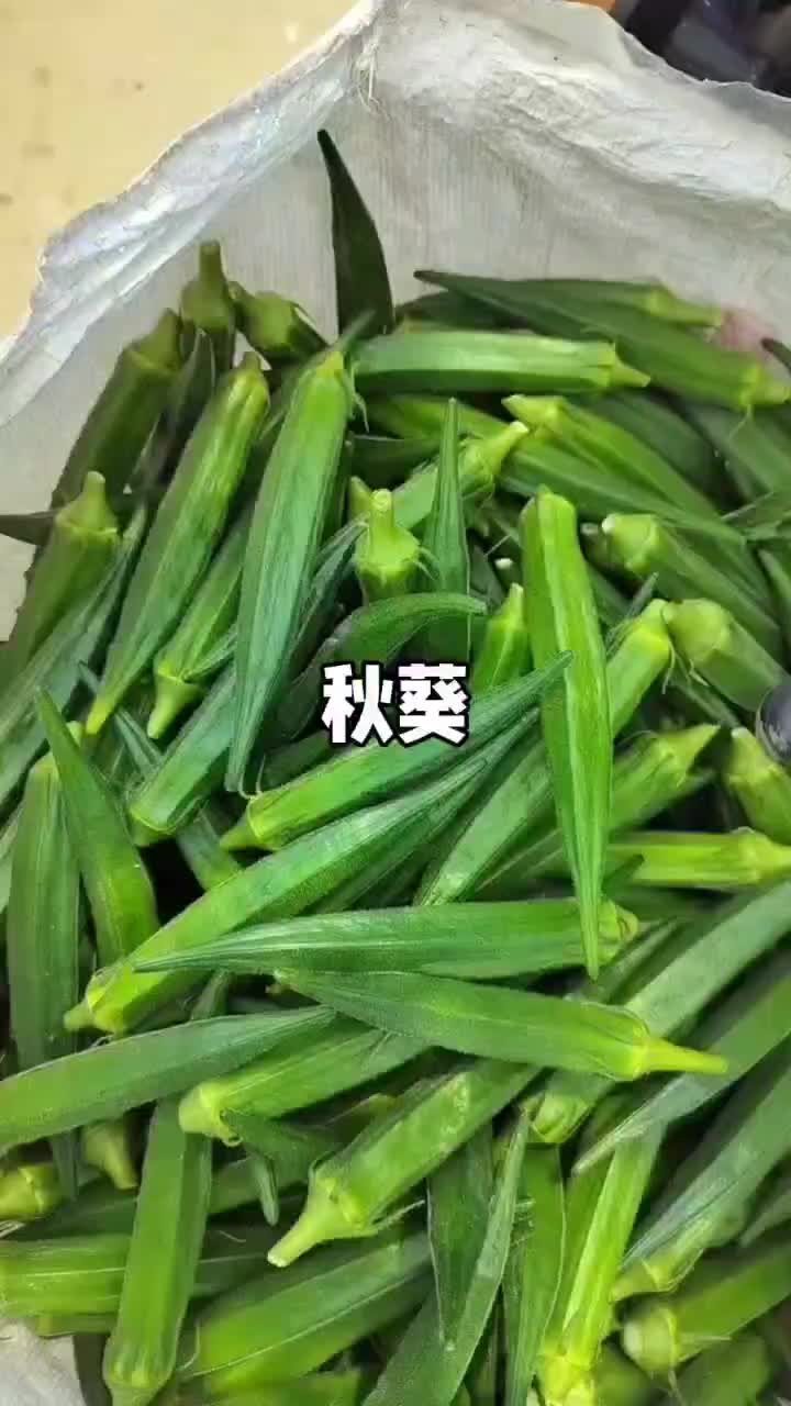 秋葵