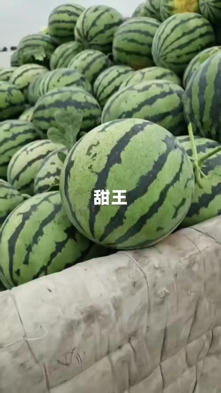 精品甜王西瓜批发