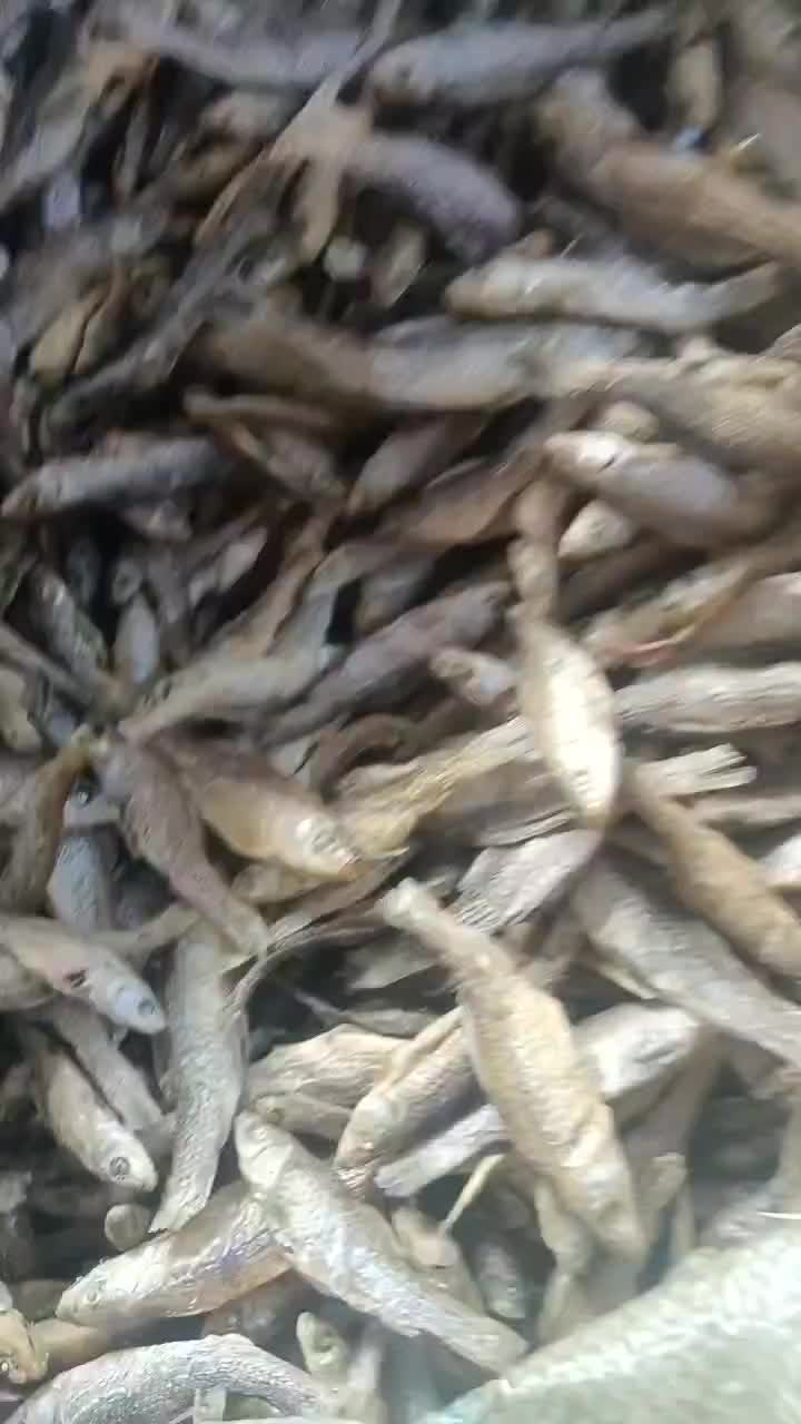 麦穗鱼水煮麦穗鱼干