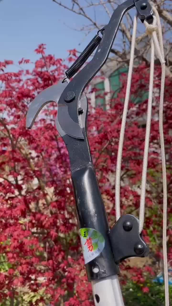 林子王军工制造省力钢铁滑轮高枝剪高空剪园林果树专业修枝剪