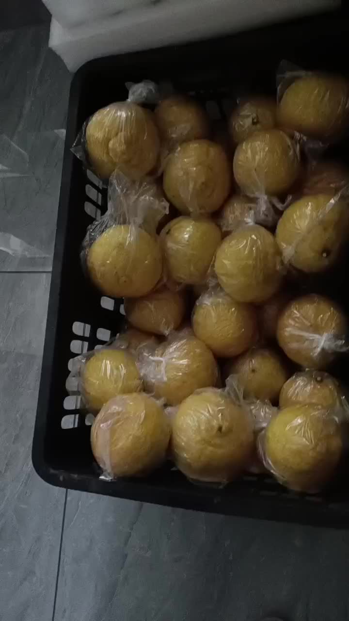 黄金贡柚
