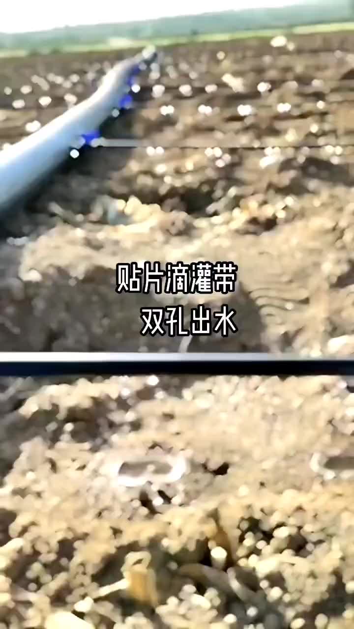 迷宫式滴灌带贴片式滴灌带pe软带