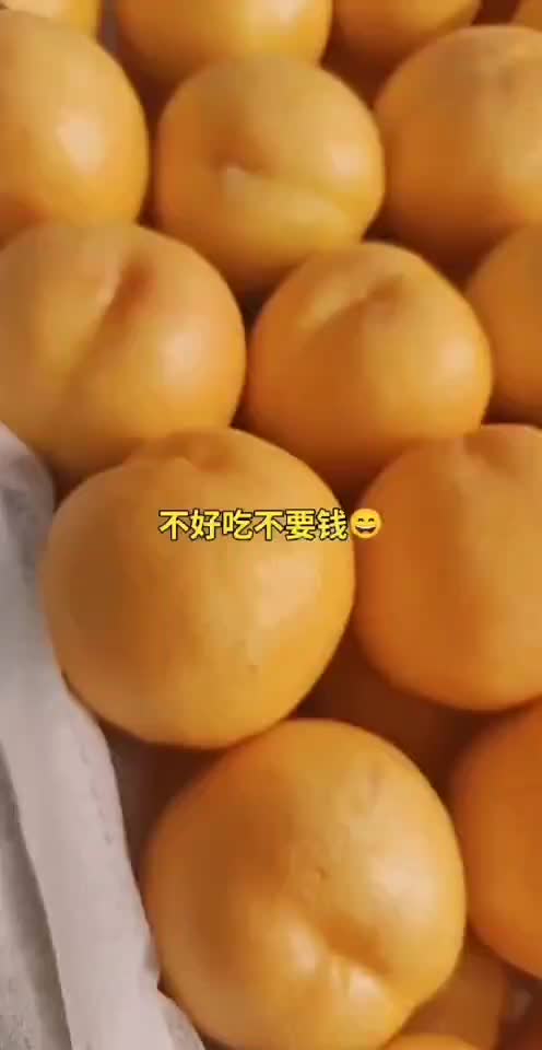 中油4号黄油桃产地直发包甜大量现货视频欢迎电联