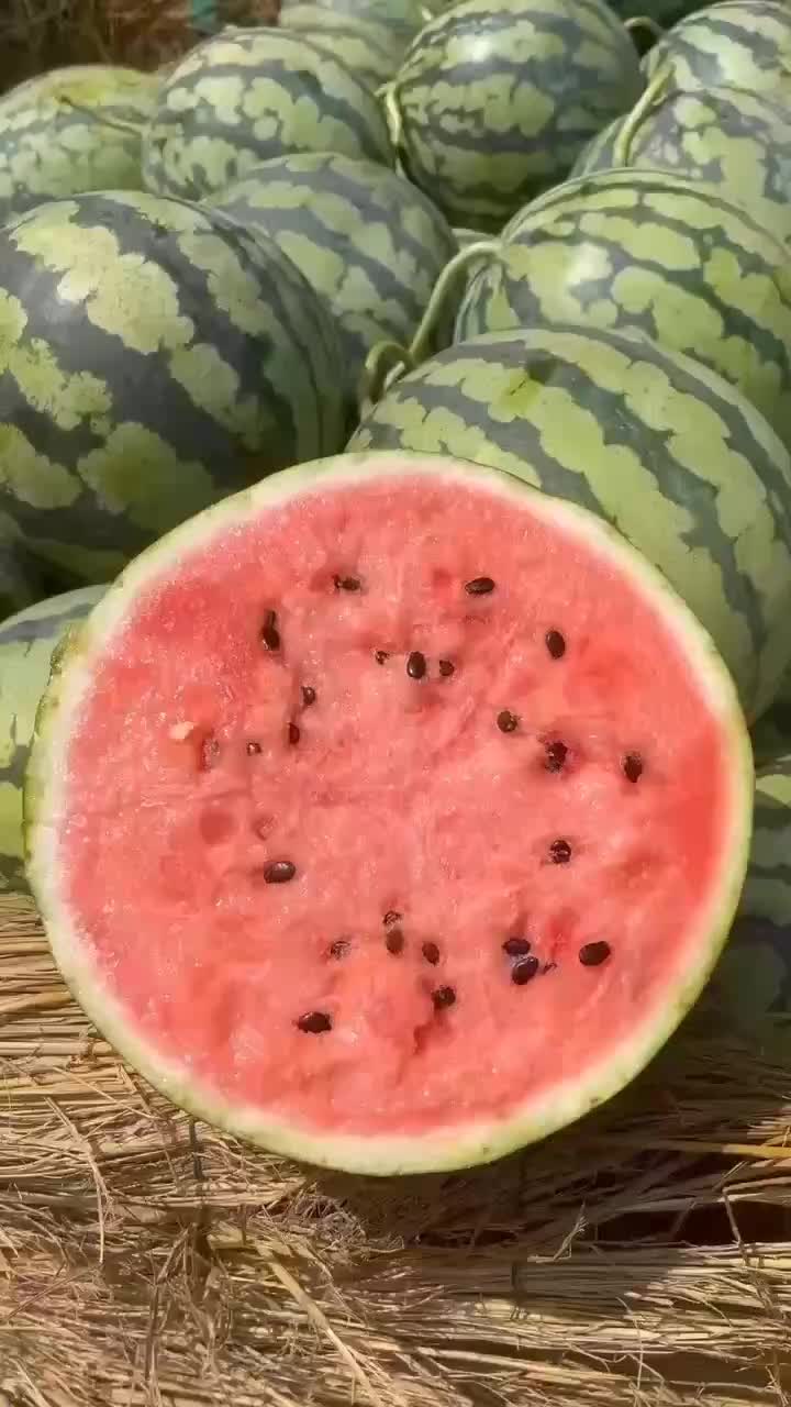 精品美都西瓜🍉，包熟包甜，品质保证，产地一手货源